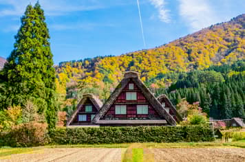 21465 ทัวร์ญี่ปุ่น วัน 4 คืน XJ336 วัดกินคะคุจิ วัดคินคะคุจิ ถนนสายนักปราชญ์ ศาลเจ้าเฮอัน 6 บิน ไทยแอร์เอเชียเอกซ์