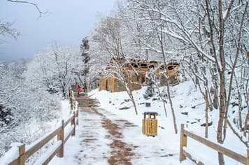 21495 ทัวร์จีน วัน 3 คืน อุทยานสี่ดรุณี หุบเขาชวงเฉียวโกว ถนนชุนซีลู่ แพนด้าปีนตึก 4 บิน Sichuan Airlines