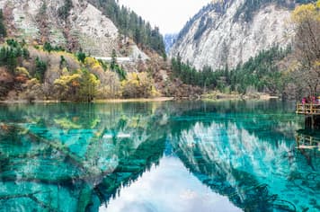 21612 ทัวร์จีน วัน 5 คืน GO1CKG-FD015 อุทยานเขานางฟ้า รูปปั้นหมีแพนดา้เซลฟี่ ภูเขาสี่ดรุณี ถนนโบราณจิ่งหลี่ 7 บิน Thai AirAsia