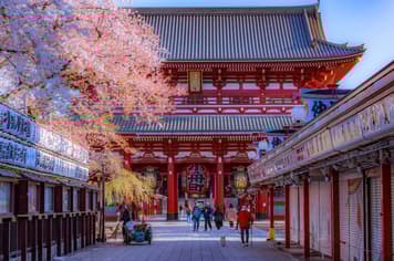 21680 ทัวร์ญี่ปุ่น วัน 4 คืน GO2NRT-TG092 วัดอาซากุสะ ศาลเจ้าโทโชคุ เอโดะ วันเดอร์แลนด์ หมู่บ้านน้าใส โอชิโนะฮักไก 6 บิน การบินไทย