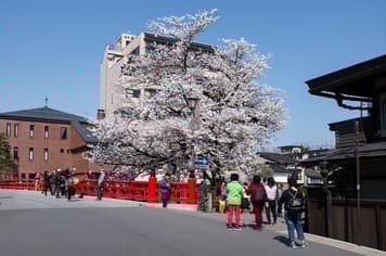 21725 ทัวร์ญี่ปุ่น วัน 3 คืน CXJKIX7 งานประดับไฟนาบานะ โนะ ซาโตะ ชิราคาวาโกะ ถนนซันมาจิซูจิ สะพานนาคาบาชิ 5 บิน ไทยแอร์เอเชียเอกซ์