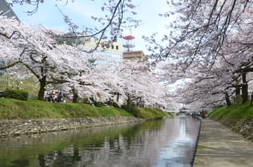 21829 ทัวร์ญี่ปุ่น วัน 4 คืน RJ-XJ120 วัดทองคินคะคุจิ ชิราคาวาโกะ ปราสาทโทยามะ ชินไซบาชิ 6 บิน ไทยแอร์เอเชียเอกซ์