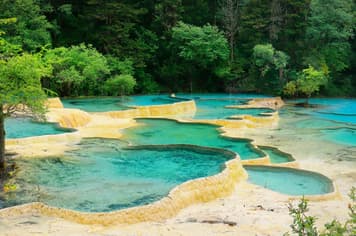 21913 ทัวร์จีน วัน 5 คืน GO1TFU-TG033 อุทยานหวงหลง ภูเขาสี่ดรุณี อุทยานแห่งชาติจิ่วจ้ายโกว วัดต้าฉือ 6 บิน การบินไทย