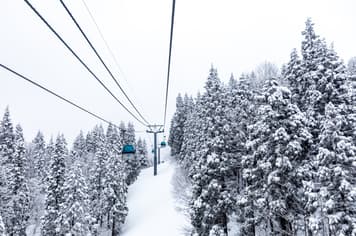 21940 ทัวร์ญี่ปุ่น วัน 4 คืน PJPSDJ02-XJ ลานสกีอานิ ล่องเรือเกบิเคะ อ่าวมัตสึชิมะ หมู่บ้านจิ้งจอก 6 บิน ไทยแอร์เอเชียเอกซ์