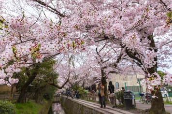 21961 ทัวร์ญี่ปุ่น วัน 4 คืน GO2HND-TG042 วัดโคโตคุอิน วัดกินคะคุจิ ถนนสายนักปราชญ์ Freeday 6 บิน การบินไทย