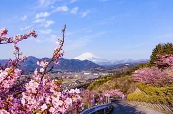 21986 ทัวร์ญี่ปุ่น วัน 4 คืน JXJ243 หุบเขาโอวาคุดานิ ทะเลสาบยามานากาโกะ ย่านชินจูกุ วัดอาซากุสะ 6 บิน ไทยแอร์เอเชียเอกซ์