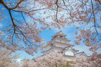 22024 ทัวร์ญี่ปุ่น วัน 4 คืน 4 ZGNRT-2601SQ พระใหญ่อุชิคุ ปราสาทสึรุกะ ศาลเจ้าโทโชกุ ตรอกขนมหวานคาชิยะ 7 บิน Singapore Airlines