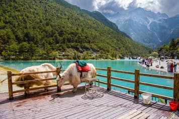 22195 ทัวร์จีน วัน 5 คืน 2ULJG-DR004 ชมดอกไม้ตามฤดูกาล วัดเจ้าแม่กวนอิม ช่องแคบเสือกระโจน สระมังกรดำ 6 บิน Ruili Airlines