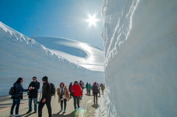 22258 ทัวร์ญี่ปุ่น วัน 4 คืน กำแพงหิมะ Japan Alps คามิโคจิ ทุ่งดอกเนโฟีล่า 6 บิน การบินไทย