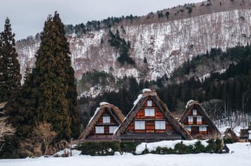 22313 ทัวร์ญี่ปุ่น วัน 4 คืน GO2NGO-TG081 หมู่บ้านชิราคาวาโกะ ศาลเจ้าชิราฮิเงะ ศาลเจ้าฟูชิมิอินาริ ตลาดปลาคุโรมง 6 บิน การบินไทย