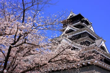 22316 ทัวร์ญี่ปุ่น วัน 5 คืน GO2FUK-TG030 สวนมิฟุเนะยาม ชมซากุระรอบปราสาทคุมาโมโตะ วัดจินโคคุจิ  หมู่บ้านยูฟุอิน ฟลอร์รัล 7 บิน การบินไทย