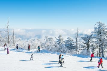 22332 ทัวร์เกาหลี วัน 3 คืน KBX62 สวนสนุก Everland Suwon Starfield Library ย่านฮงแด ย่านเมียงดง 5 บิน AIR BUSAN