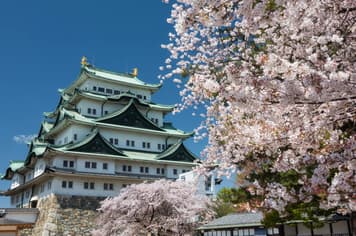 22398 ทัวร์ญี่ปุ่น วัน 4 คืน GO2NGO-TG079 ทะเลสาบคาวากูจิโกะ Pinkmoss สะพานคัปปาบาชิ ศาลเจ้าฟูชิมิอินาริ 6 บิน การบินไทย