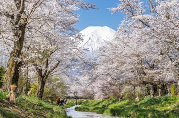 22399 ทัวร์ญี่ปุ่น วัน 4 คืน GO2KIX-TG082 จุคโคคุ พาส สวนดอกบ๊วยอาตามิ วัดไทเซคิจิ พิพิธภัณฑ์ศิลปะโมอา 6 บิน การบินไทย