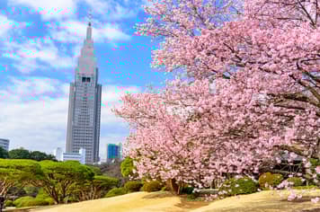 22400 ทัวร์ญี่ปุ่น วัน 4 คืน GO2NRT-TG097 ชมวิวฟูจิ จุคโคคุ พาส สวนดอกบ๊วยอาตามิ วัดอาซากุสะ 6 บิน การบินไทย