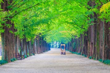 22449 ทัวร์เกาหลี วัน 3 คืน GO3ICN-OZ011 สะพานโซยางกัง เกาะนามิ ป้อมฮวาซอง ถนนสายศิลปะคาเฟ่โกบงซาน 5 บิน Asiana Airlines