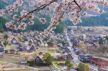 22459 ทัวร์ญี่ปุ่น วัน 3 คืน XJ343 วัดกินคะคุจิ ศาลเจ้าฮิราโนะ ช้อปปิ้งชินไซบาชิ 5 บิน ไทยแอร์เอเชียเอกซ์