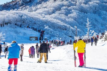 22474 ทัวร์เกาหลี วัน 3 คืน PKR-ICN01-SL เทศกาลตกปลาน้ำแข็ง SKI RESORT พิพิธภัณฑ์สาหร่าย 5 บิน Thai Lion Air