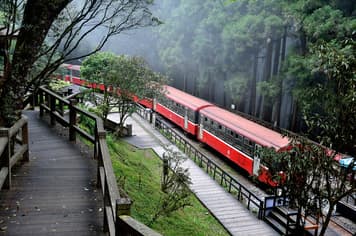 22503 ทัวร์ไต้หวัน วัน 3 คืน เหวินฮวา เขาอุทยานอาลีซาน ถนนโบราณเฟิ่นฉีหู ตลาดไถจง 4 บิน China Airlines