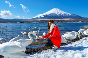 22541 ทัวร์ญี่ปุ่น วัน 4 คืน BT-NRT_S04_XJ เทศกาลคุมางายะ ซากุระ สึสึมิ เทศกาลประดับไฟซากามิโกะ ทะเลสาบยามานากาโกะ  ศาลเจ้าฟุจิซังเซนเงน 6 บิน ไทยแอร์เอเชียเอกซ์