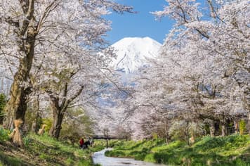 22565 ทัวร์ญี่ปุ่น วัน 3 คืน  5 บิน ไทยแอร์เอเชียเอกซ์