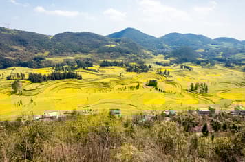 22577 ทัวร์จีน วัน 5 คืน 2UNNG-GX005 สวนดอกซากุระผิงปา หมู่บ้านชนเผ่าแม้วซีเจียง น้ำตกเต๋อเทียน 6 บิน GX Airlines