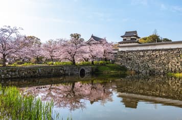 22584 ทัวร์ญี่ปุ่น วัน 3 คืน ZGFUK-2606VZ ทะเลสาบคินริน หมู่บ้านยูฟูอิน ชมซากุระ เลียบแม่น้ำรินซัง ยูเมะทาวน์ 5 บิน VietJet Air