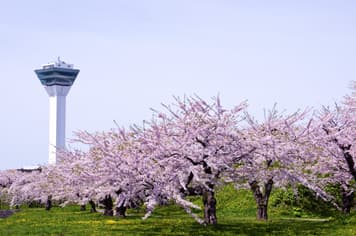 22601 ทัวร์ญี่ปุ่น วัน 4 คืน GO2CTS-XJ035 ป้อมดาวโกะเรียวคะคุ โนโบริเบทสึ ทะเลสาบโทย ตลาดเช้าฮาโกดาเตะ 6 บิน ไทยแอร์เอเชียเอกซ์