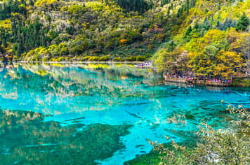 22658 ทัวร์จีน วัน 4 คืน PV-CNCD01-EU ถนนคนเดินโบราณจิ๋นหลี่ อุทยานแห่งชาติจิ่วจ้ายโกว อุทยานแห่งชาติหวงหลง สะพานหนานเฉียว 5 บิน เฉิงตู แอร์ไลน์