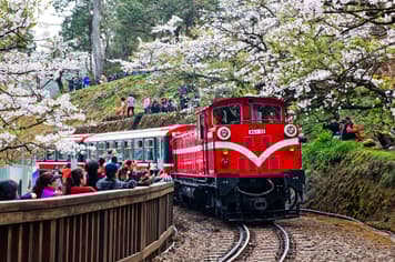 22669 ทัวร์ไต้หวัน วัน 4 คืน BT-TPE93_SL SUN MOON LAKE วัดเหวินหวู่ เขาอุทยานอาลีซาน รถไฟโบราณชมอุทยาน 5 บิน Thai Lion Air