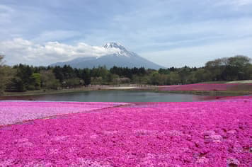 22734 ทัวร์ญี่ปุ่น วัน 3 คืน ZGNRT-2608VZ วัดอาซากุสะ ถนนนาคามิเซ คาวาโกเอะ ถนนคุระซึคุริ หอนาฬิกาโทคิโนะ 5 บิน VietJet Air