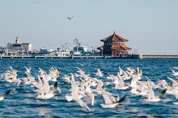 22748 ทัวร์จีน วัน 4 คืน BT-TAO01_SC จุดชมวิว Signal Hill Park วัดจ้านซาน ถนนจงซาน สะพานจ้านเฉียว 6 บิน Shandong Airlines