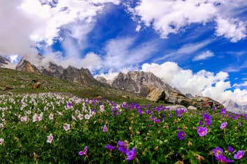 22787 ทัวร์อินเดีย  วัน 4 คืน GO1DEL-TG015 สวนโมกุล สวนทิวลิป BEHTAB VALLEY โซนามาร์ค 6 บิน การบินไทย