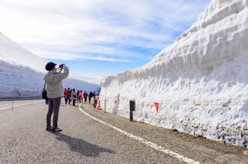 22921 ทัวร์ญี่ปุ่น วัน 4 คืน JPL-HND-05 คามิโคจิ พิงค์มอส เจแปนเอลป์ ชิจุกุ 7 บิน Japan Airlines