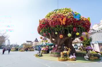 22930 ทัวร์เกาหลี วัน 3 คืน 2 คิน WEKR-SEOULCB2026 หมู่บ้านวัฒนธรรมอึนพยอง เอเวอร์แลนด์ธีมปาร์ค วัดวาวูจอง สวนป่าแห่งโซล 5 บิน Air Busan