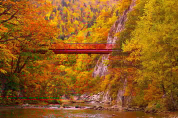 22970 ทัวร์ญี่ปุ่น วัน 4 คืน GO2CTS-VZ004 สะพานโจซังเคฟุทามิ สวนสัตว์อาซาฮิยามะ หมู่บ้านราเมงอาซาฮิคาวะ บลูพอนด์ 6 บิน ไทยเวียตเจ็ท