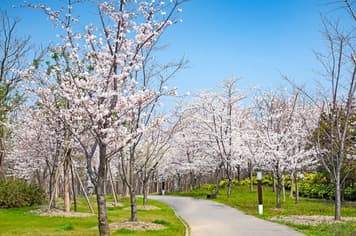 23053 ทัวร์จีน วัน 4 คืน SHFMPVG26 ถนนหวยไห่ ถนนอู่คัง ซินเทียนตี้ หอไข่มุก 5 บิน เซี่ยงไฮ้ แอร์ไลน์ 