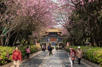 23081 ทัวร์จีน วัน 3 คืน KY-KMG002 วัดหยวนทง สวนน้ำตกคุนหมิง ตำหนักทอง ทะเลสาบเตียนฉือ 4 บิน Kunming Airlines