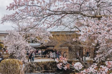 23123 ทัวร์ญี่ปุ่น วัน 3 คืน NRT72 หมู่บ้านน้ำใส โอชิโนะฮัคไค วัดมัตสึจิยามะ โชเด็น สวนสุมิดะ 5 บิน ไทยเวียตเจ็ท