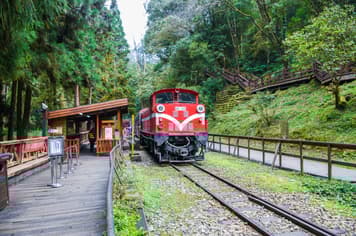 23130 ทัวร์ไต้หวัน วัน 4 คืน GO1CNXTPE-SL003 อุทยานแห่งชาติอาหลีซาน ถนนโบราณจิ่วเฟิ่น ตลาดซีเหมินติง 5 บิน Thai Lion Air