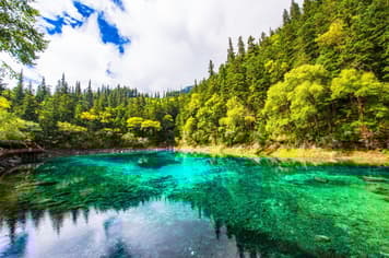 23135 ทัวร์จีน วัน 5 คืน 2UTFU-MU001 อุทยานแห่งชาติจิ่วจ้ายโกว อุทยานหวงหลง ถนนไท่กู่หลี่ ถนนโบราณซอยกว้างซอยแคบ 6 บิน China Eastern Airlines