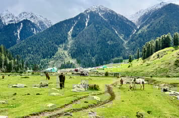 23276 ทัวร์ต่างประเทศ วัน 4 คืน ZGSXR-2601AI เทือกเขาโซนามาร์ค ธารน้ำแข็งกราเซีย สวนโมกุล พาฮาลแกรม 6 บิน Air India