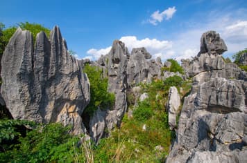 23312 ทัวร์จีน วัน 5 คืน CKYK2 หุบเขาโหลวผิง ภูเขาหมื่นยอด เมืองโบราณกวนตู้ ป่าหินมกดกโลก 6 บิน Kunming Airlines