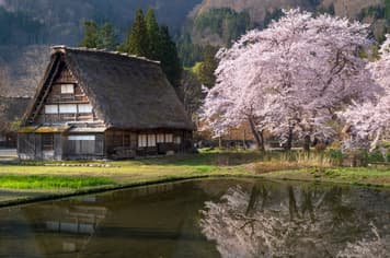 23317 ทัวร์ญี่ปุ่น วัน 3 คืน CXJKIX9 วัดนันเซ็นจิ ชิราคาวาโกะ สะพานนาคาบาชิ ถนนซันมาจิซูจิ 5 บิน ไทยแอร์เอเชียเอกซ์