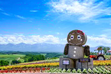 23350 ทัวร์ญี่ปุ่น วัน 3 คืน ZGCTS-2611VZ ฟาร์มโทมิตะ คลองโอตารุ  พิพิธภัณฑ์กล่องดนตรี ถนนซาไกมาชิ 5 บิน ไทยเวียตเจ็ท