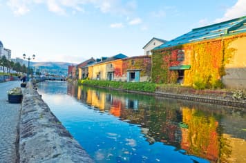 23360 ทัวร์ญี่ปุ่น วัน 4 คืน เทศกาลดอกไม้ไฟริมทะเลสาบโทยะ ทุ่งดอกลาเวนเดอร์ ซับโปโร 6 บิน การบินไทย