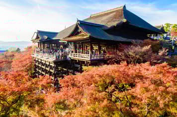 23454 ทัวร์ญี่ปุ่น วัน 4 คืน ZGKIX-2622MM วัดคิโยมิสึ  ตลาดปลาคุโรมง โอซาก้าชินไซบาชิ 6 บิน PEACH AIRLINES