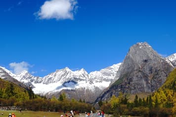 23456 ทัวร์จีน วัน 3 คืน BT-TFU65_VZ อุทยานภูเขาสี่ดรุณี ศูนย์หมีแพนด้า ตงเจียวจี้อี้ ถนนซอยกว้างซอยแคบ 4 บิน ไทยเวียตเจ็ท