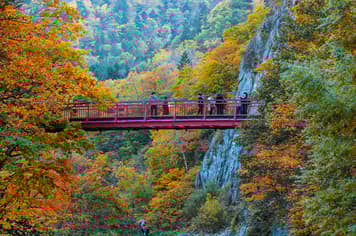 23518 ทัวร์ญี่ปุ่น วัน 4 คืน CTS68 หุบเขานรกจิโกคุดานิ ภูเขาไฟอุสุซาน สะพานแขวนฟูตามิ 6 บิน ไทยแอร์เอเชียเอกซ์