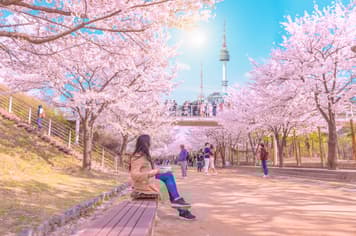 23559 ทัวร์เกาหลี วัน 3 คืน WEKR-SKSSB2026 เกาะนามิ อุทยานแห่งชาติซอรัคซาน เอเวอร์แลนด์ พระราชวังเคียงบกกุง 5 บิน T'way Airlines